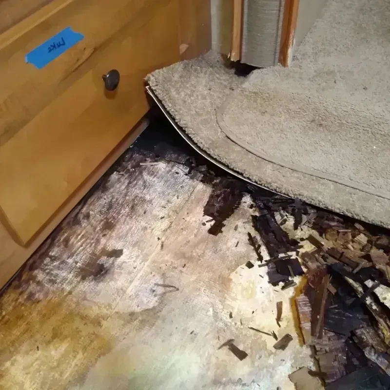 Best Wood Floor Water Damage Service in Harwood Heights, IL